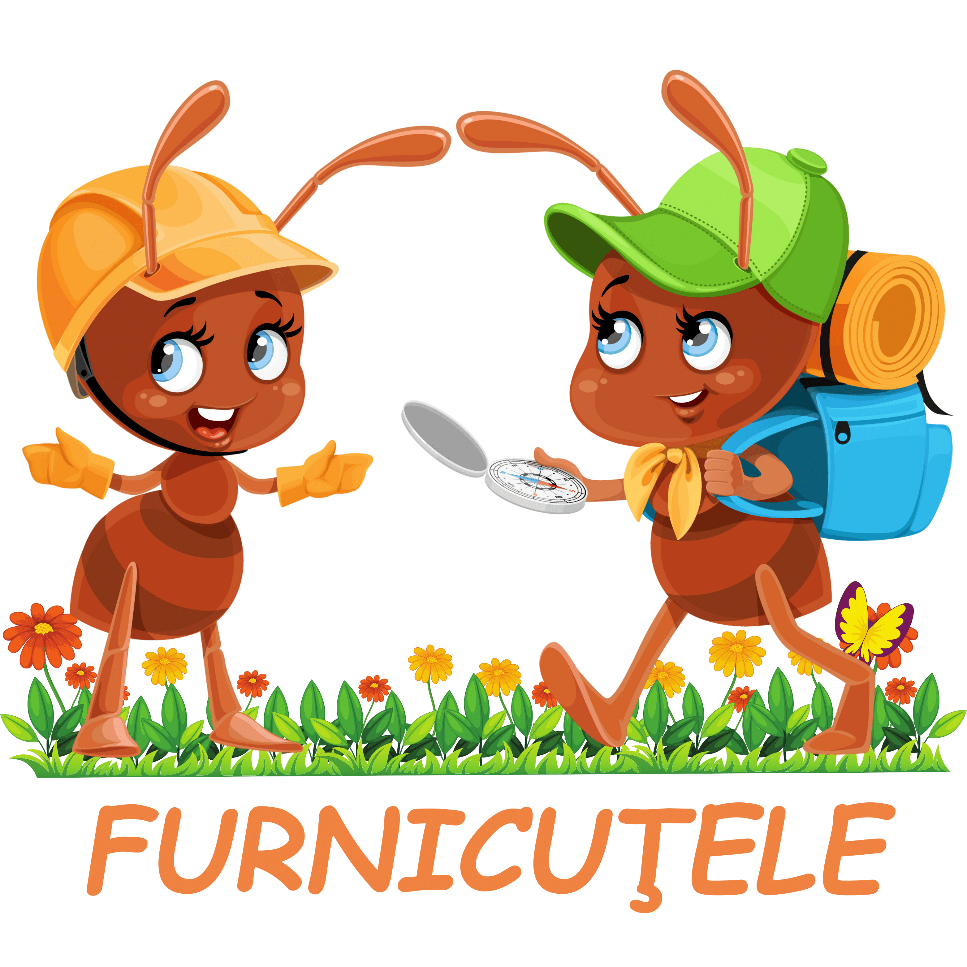 Furnicuțe